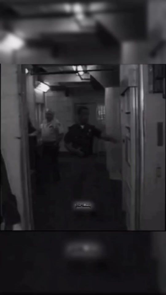 TikTok video thumbnail by elham_amirey