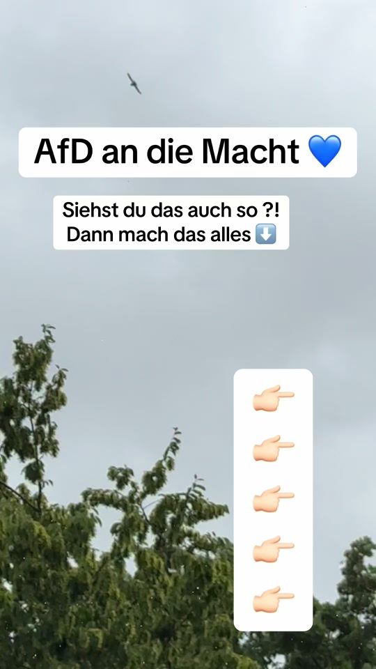 TikTok video thumbnail by derkanal