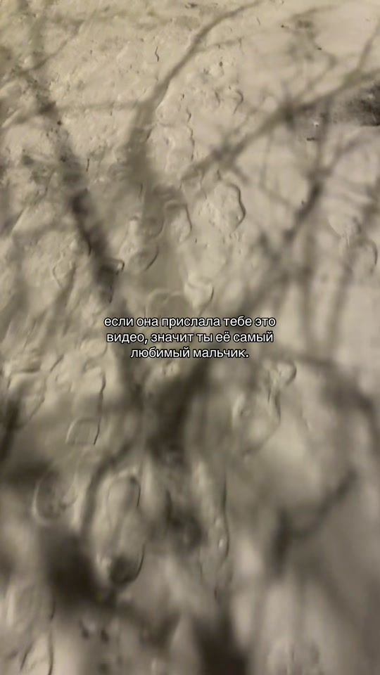 TikTok video thumbnail by _.globalsong
