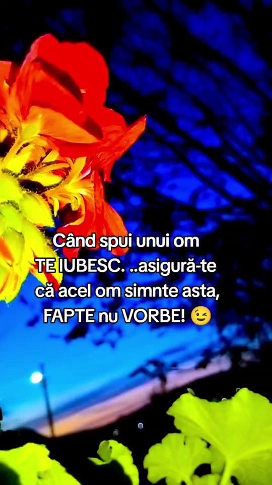 TikTok video thumbnail by ale_minodora