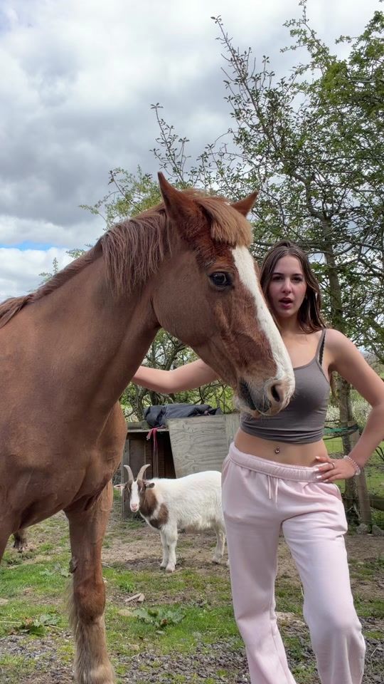 TikTok video thumbnail by libbypartridge.equine