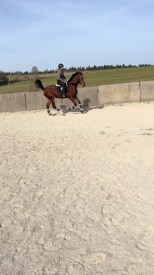 TikTok video thumbnail by springporsche.acouro