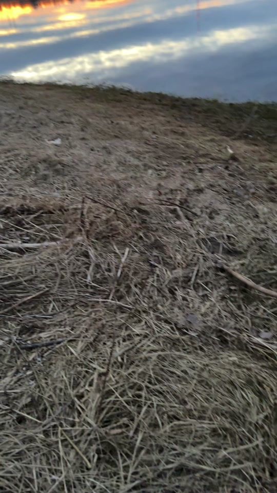 TikTok video thumbnail by pewexod3