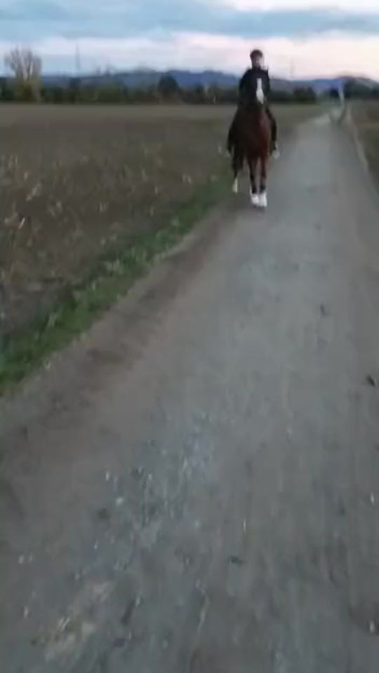 TikTok video thumbnail by thats_sammy