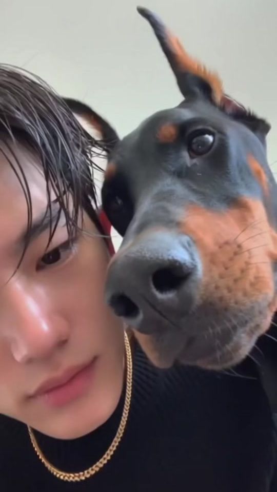 TikTok video thumbnail by wonhosoai