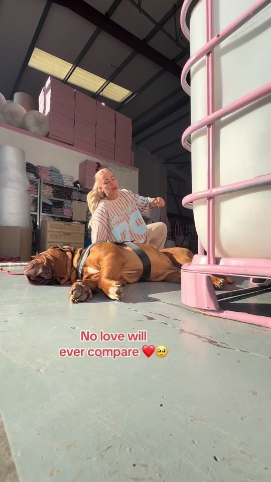 TikTok video thumbnail by vvictoriarrose