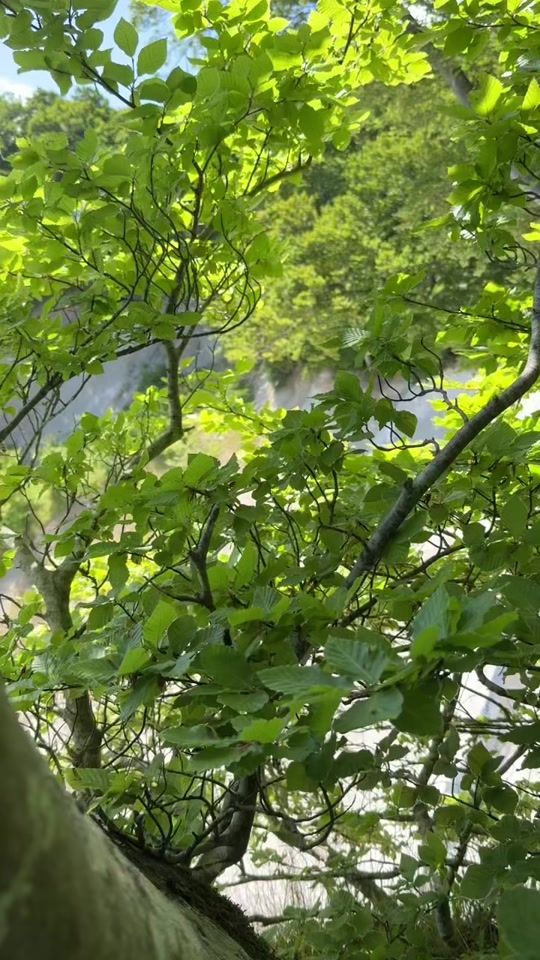 TikTok video thumbnail by outdoor_storie