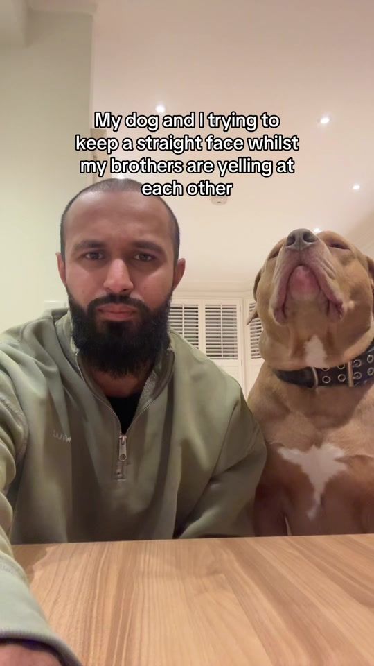 TikTok video thumbnail by gorillahasan