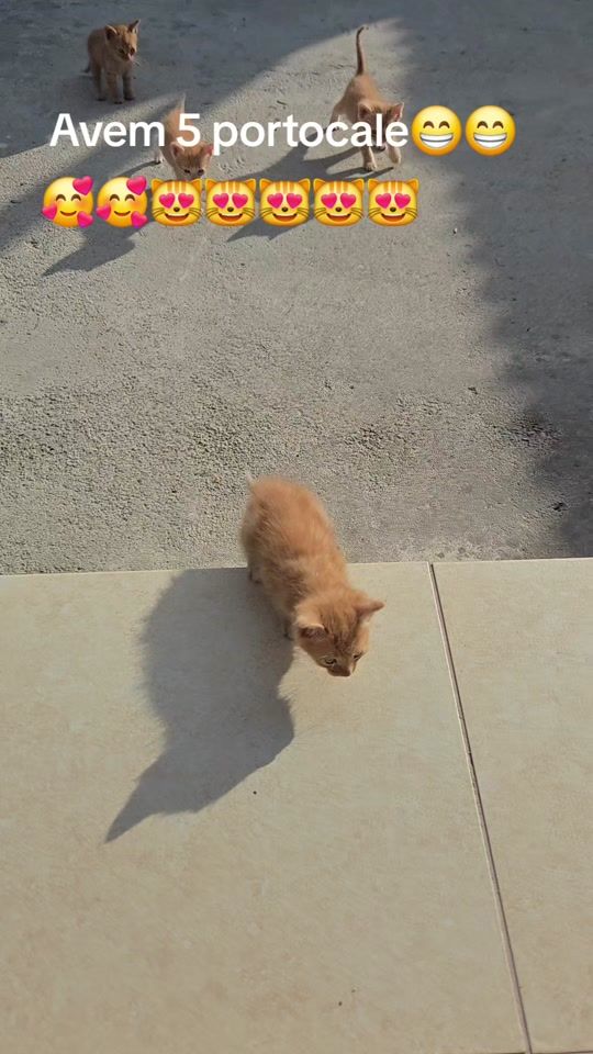 TikTok video thumbnail by ginaradoi