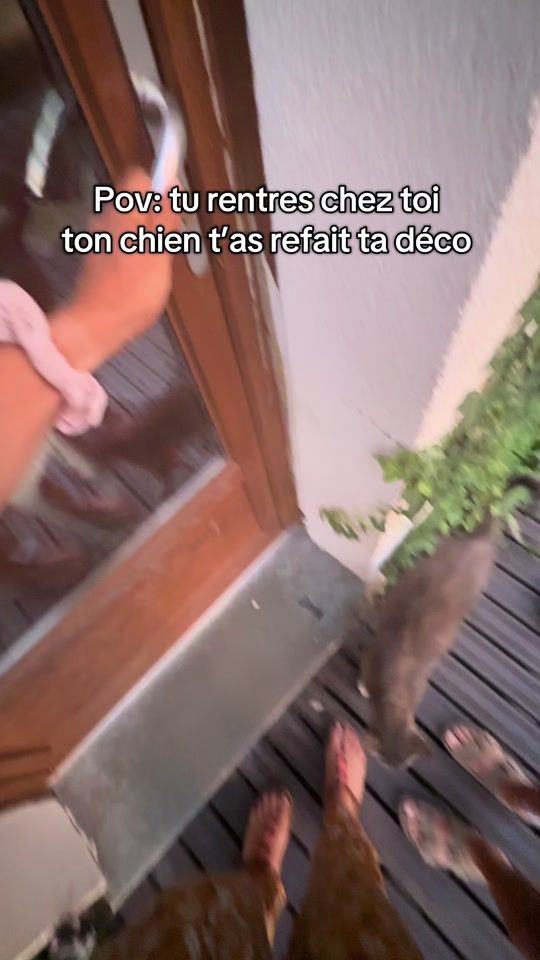 TikTok video thumbnail by julielataste