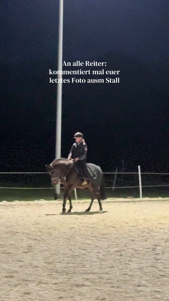 TikTok video thumbnail by rennpony_shalimar