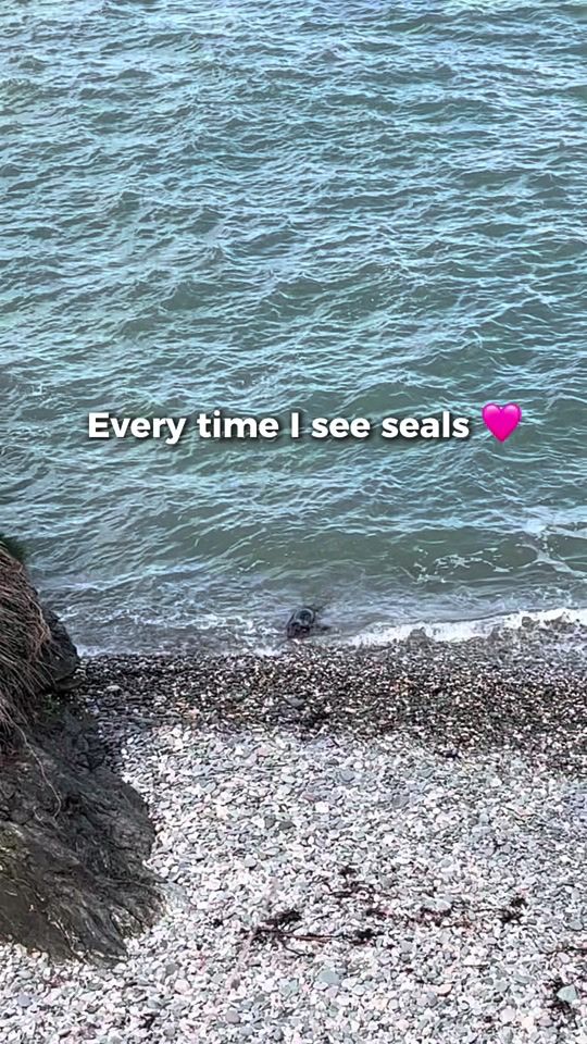 TikTok video thumbnail by traveltimesglobal