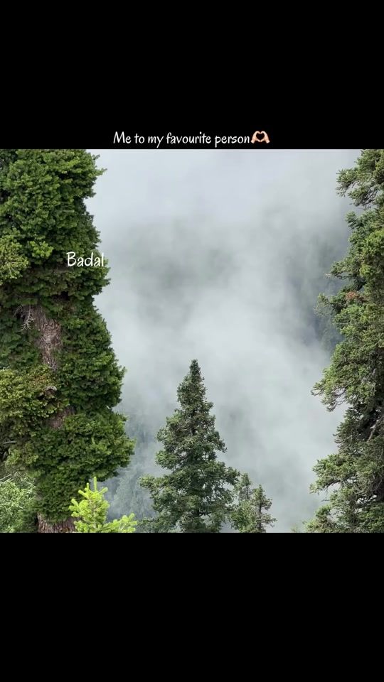 TikTok video thumbnail by ali_astix