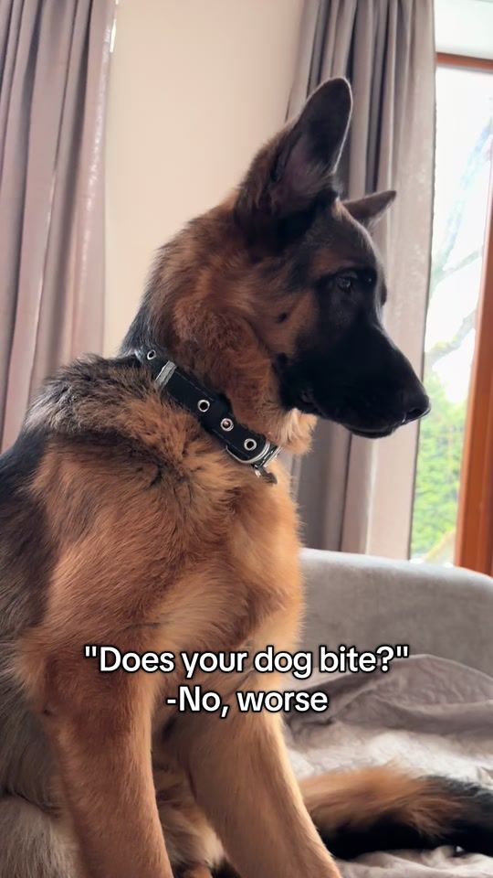 TikTok video thumbnail by baskolife