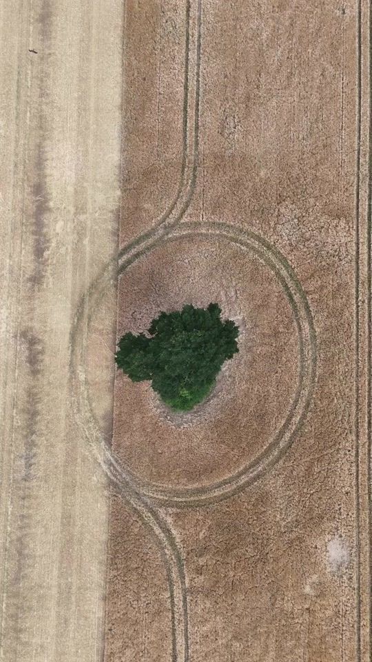 TikTok video thumbnail by farmingmonthly