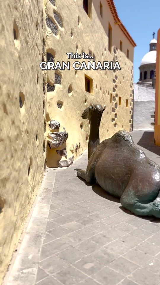 TikTok video thumbnail by visitgrancanaria