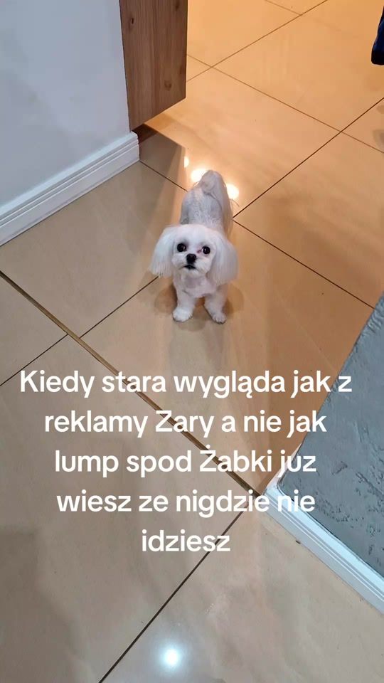TikTok video thumbnail by rastimajkowski