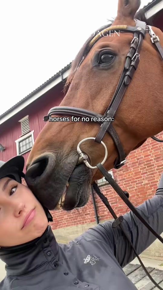 TikTok video thumbnail by reb8406