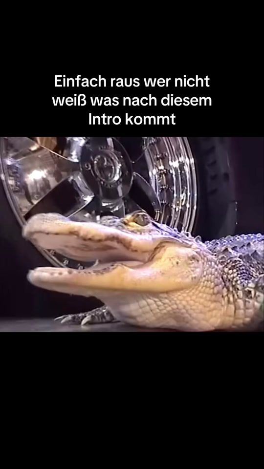 TikTok video thumbnail by e71xs.fr