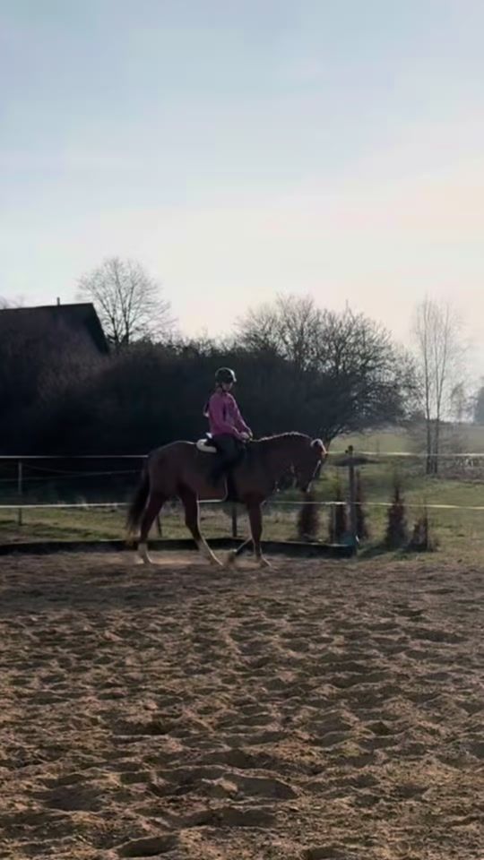 TikTok video thumbnail by three_crazy_ponies
