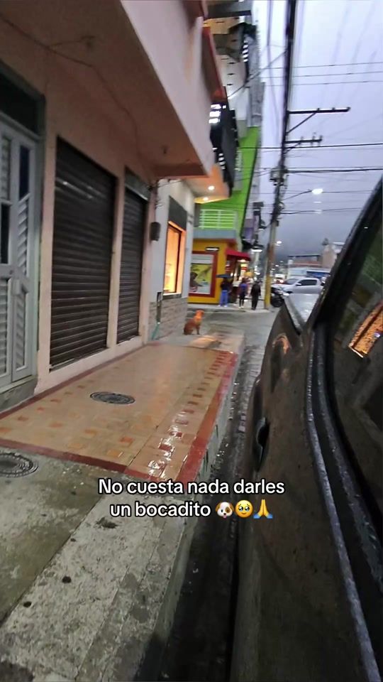 TikTok video thumbnail by josiedelgado20