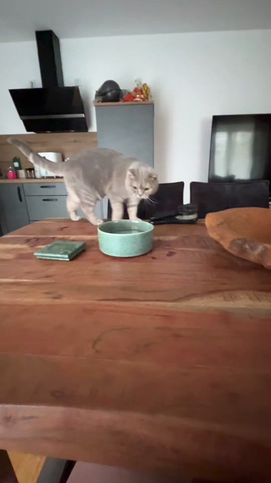 TikTok video thumbnail by pinkispretty33