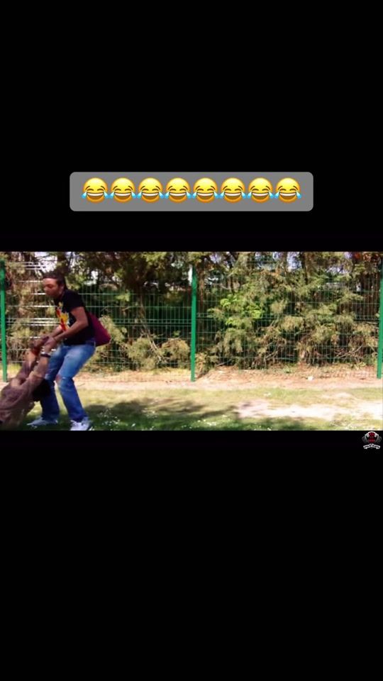 TikTok video thumbnail by youssou.1