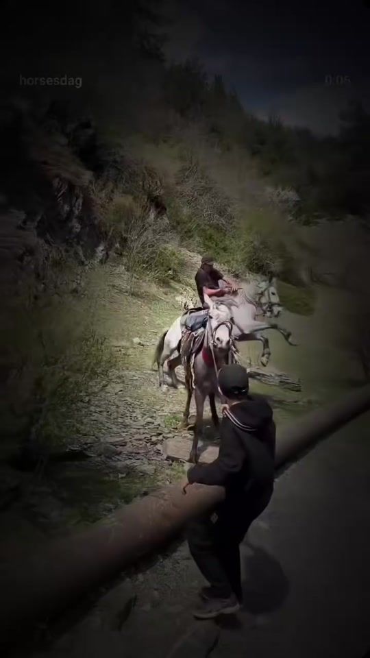 TikTok video thumbnail by fleurdamour34