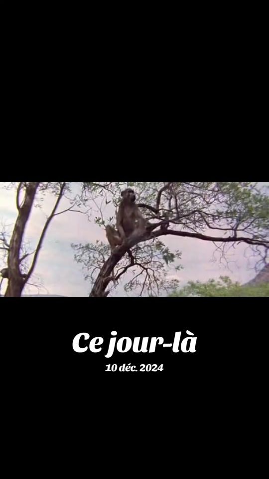 TikTok video thumbnail by abdoulayee00
