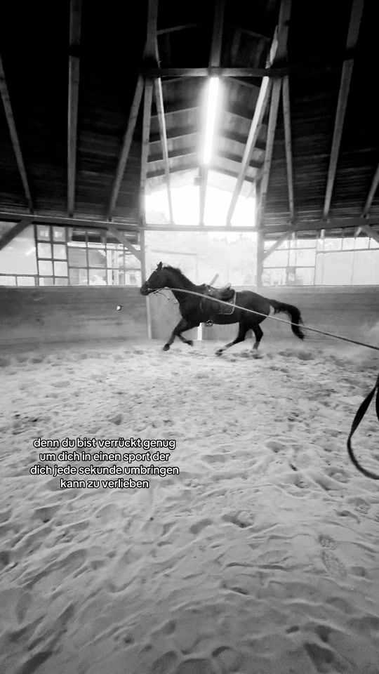 TikTok video thumbnail by _equestrian.lrx