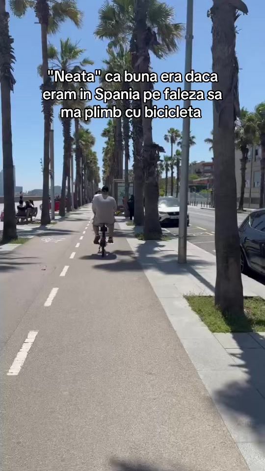 TikTok video thumbnail by biancaopreaa