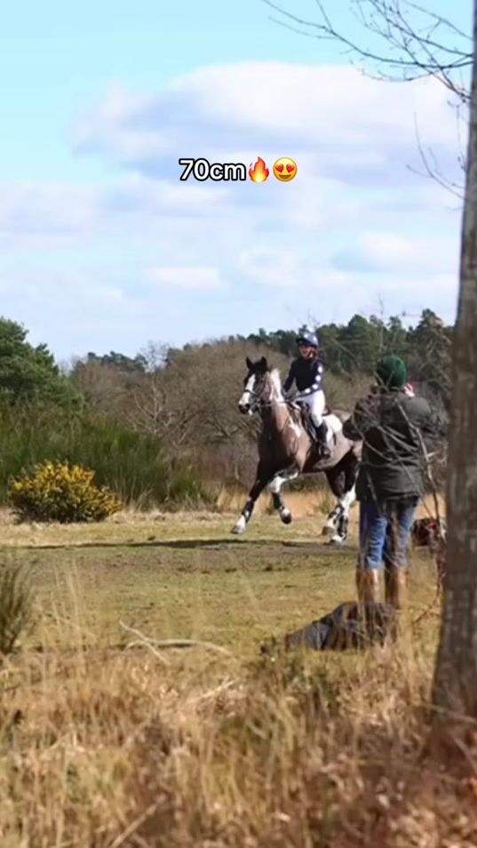 TikTok video thumbnail by natashacrapper.eventing