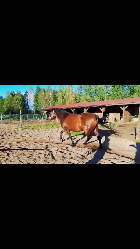TikTok video thumbnail by karoli_na13