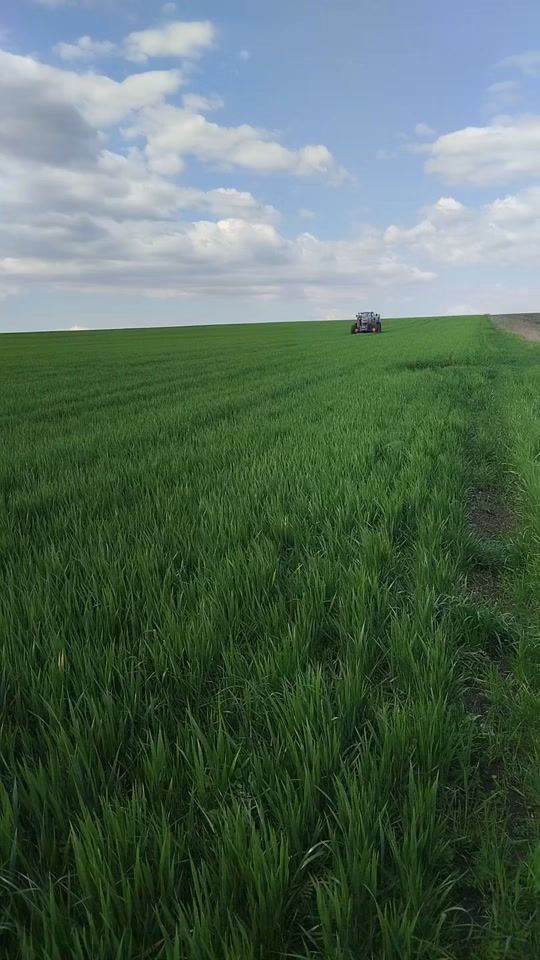 TikTok video thumbnail by johndeere.mafia