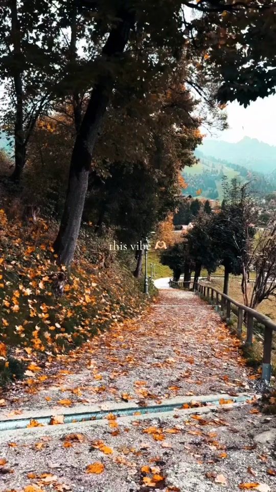 TikTok video thumbnail by cosyandslow