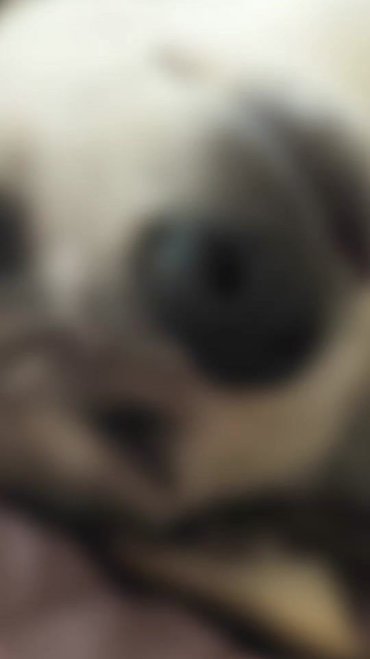 TikTok video thumbnail by francescatabb