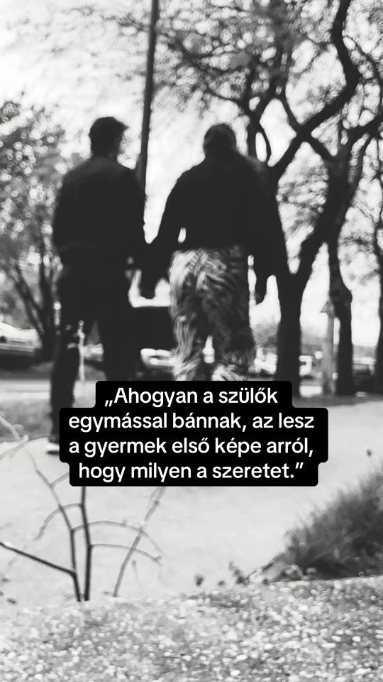 TikTok video thumbnail by noacsengeri