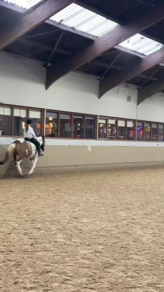 TikTok video thumbnail by zilvias.hoeve
