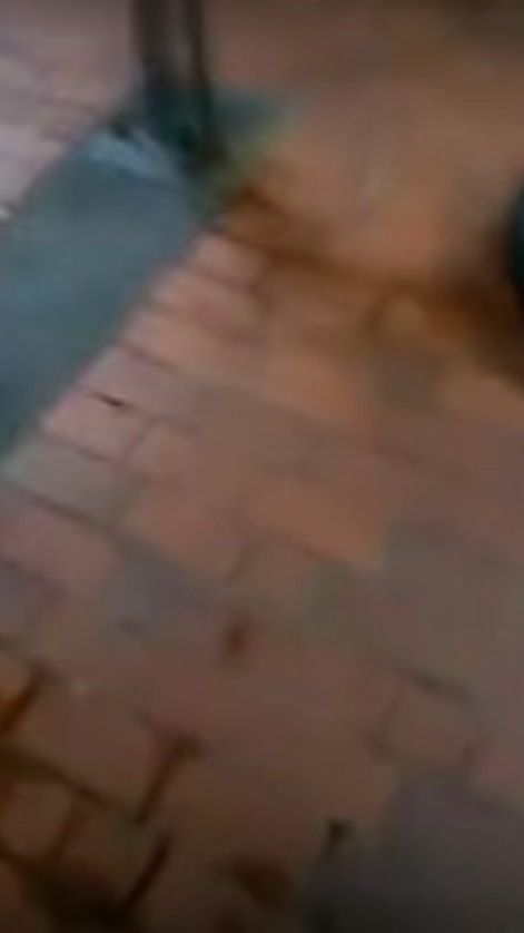 TikTok video thumbnail by memes_minister