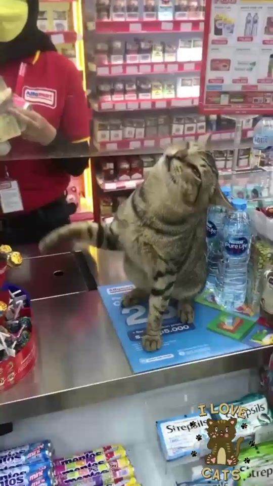 TikTok video thumbnail by maripopa15