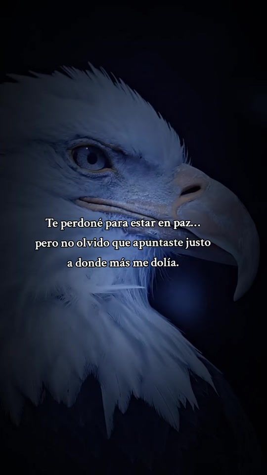 TikTok video thumbnail by finanzas__mindset