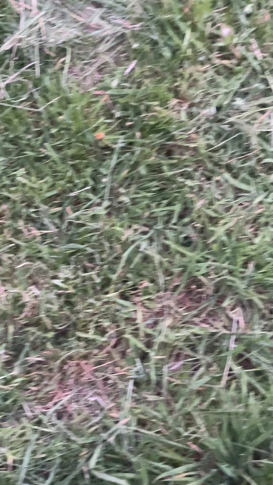 TikTok video thumbnail by lamoruedu.14