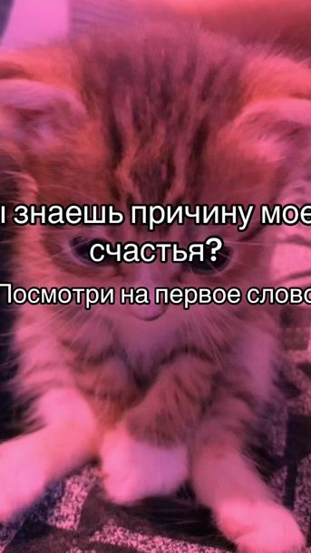 TikTok video thumbnail by gh00stly1
