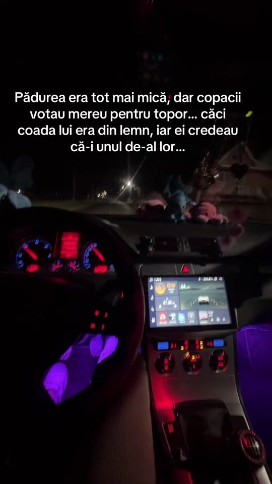 TikTok video thumbnail by stroescu_alina26