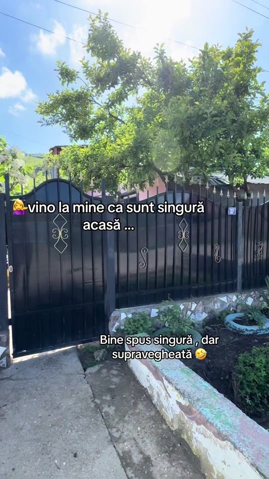 TikTok video thumbnail by ffzero_69