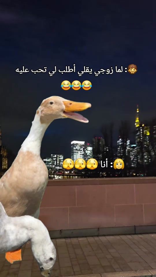 TikTok video thumbnail by mimi21990