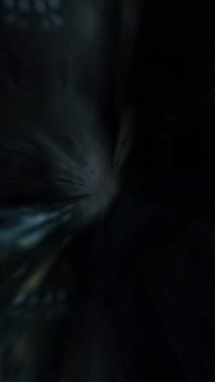 TikTok video thumbnail by ahnify