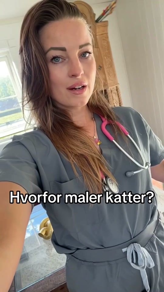 TikTok video thumbnail by dr.aya.vet
