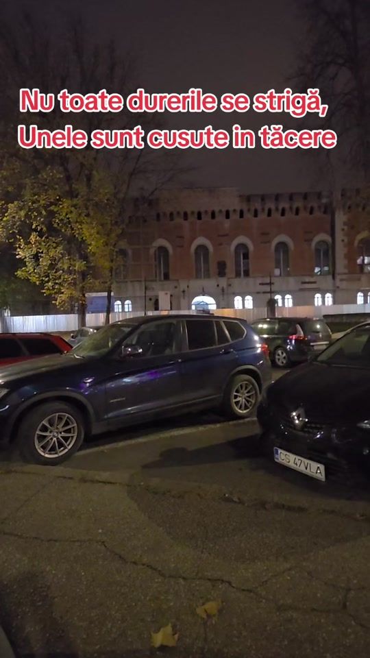 TikTok video thumbnail by noidoi185