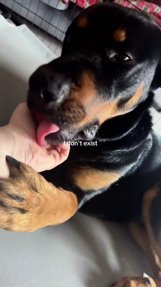 TikTok video thumbnail by valeriamarcellii